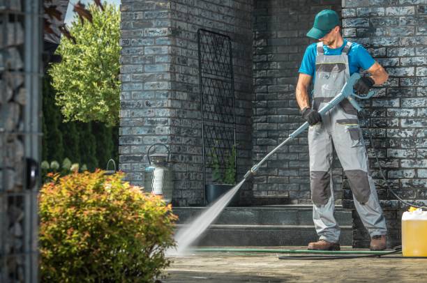 Best Pre-Holiday Cleaning  in Hebbronville, TX